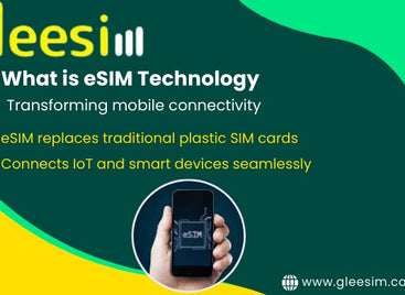 eSim with Gleesim